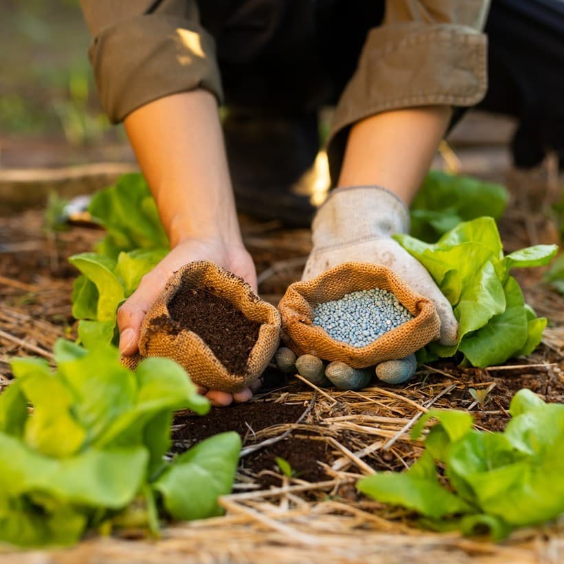 Alimentación ecolóxica en Vilalba